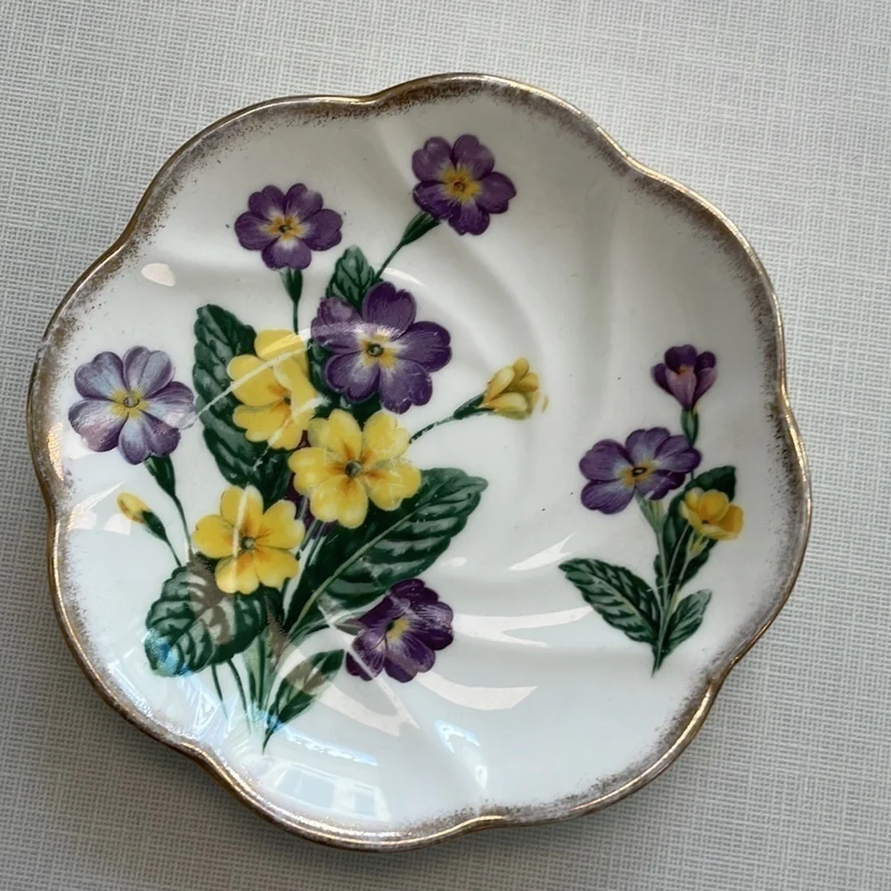 Vintage Salisbury Bone China ☕️single teacup set